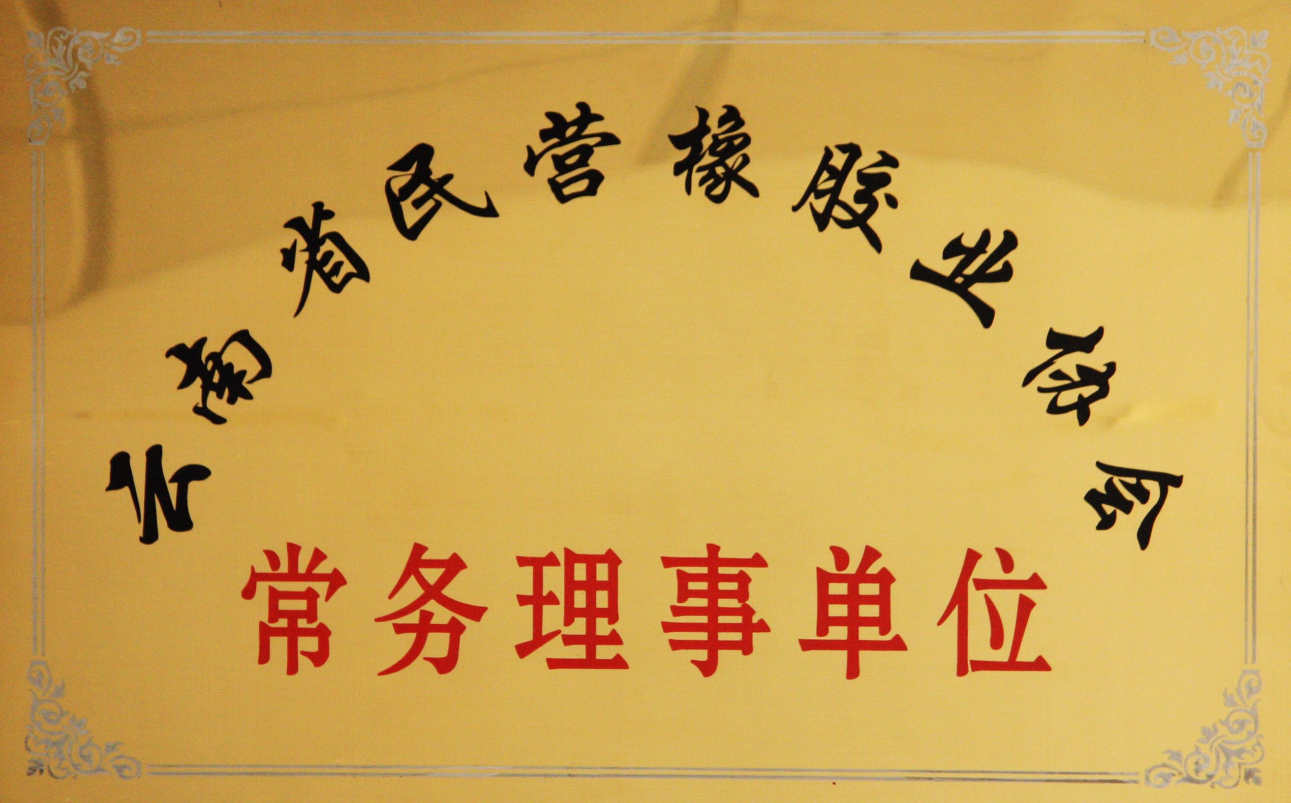 十.云南省民营橡胶企业协会常务理事单位