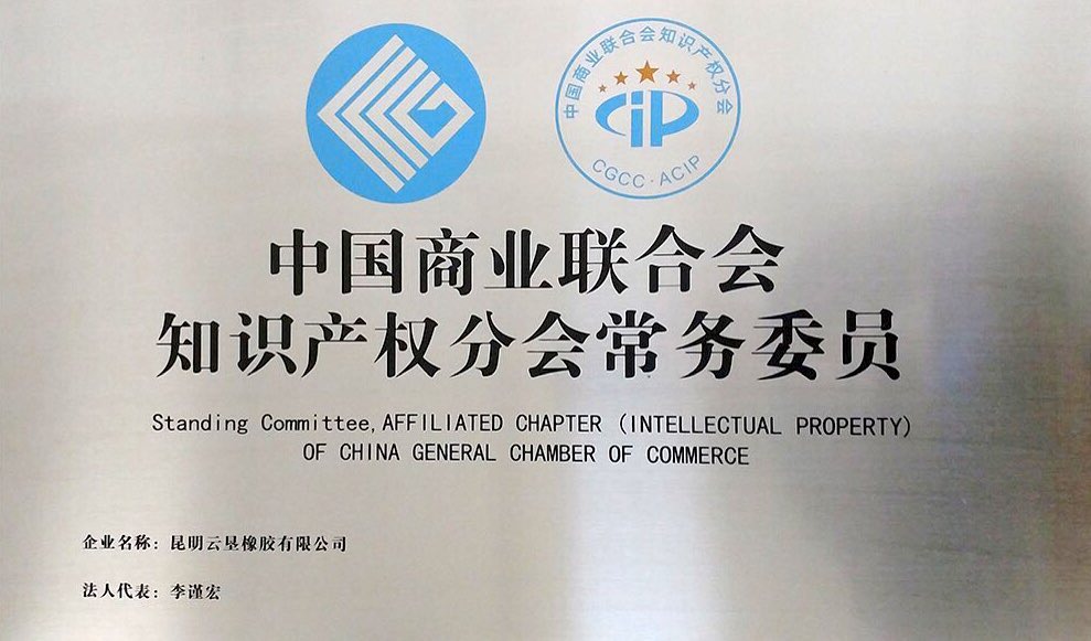 十一.中国商业联合会知识产权分会常务委员