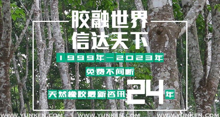公司24年