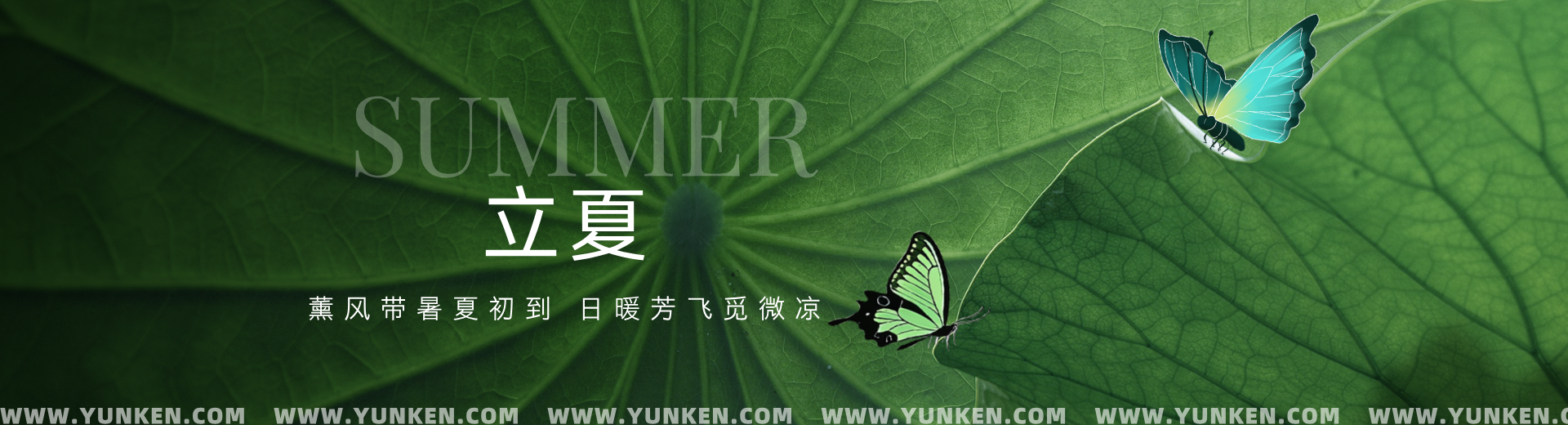二〇二五〇五〇五立夏banner
