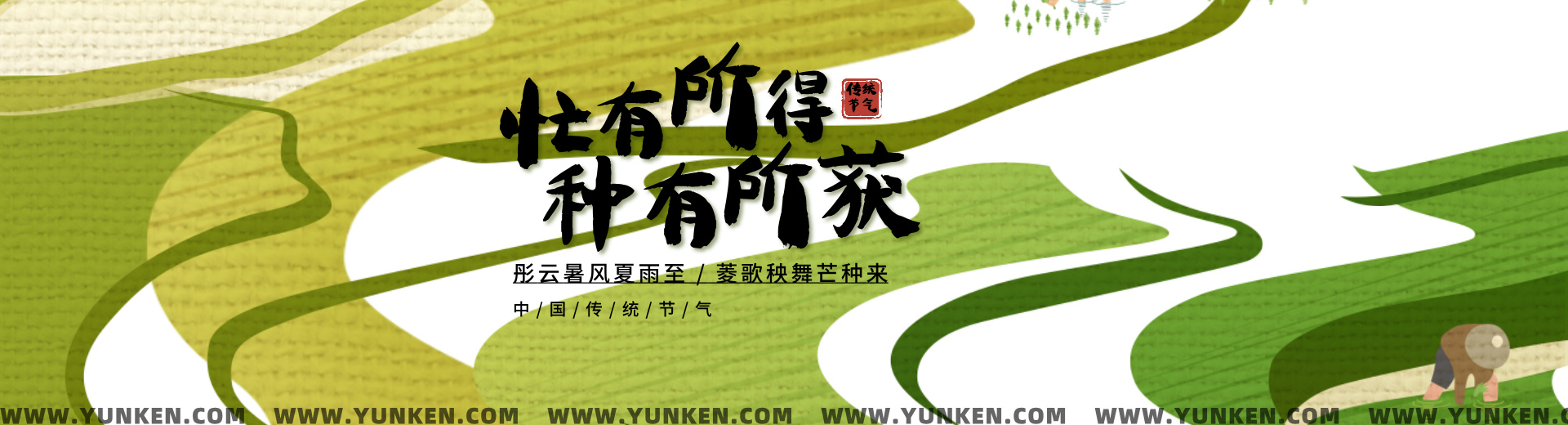 二〇二五〇六〇五芒种banner