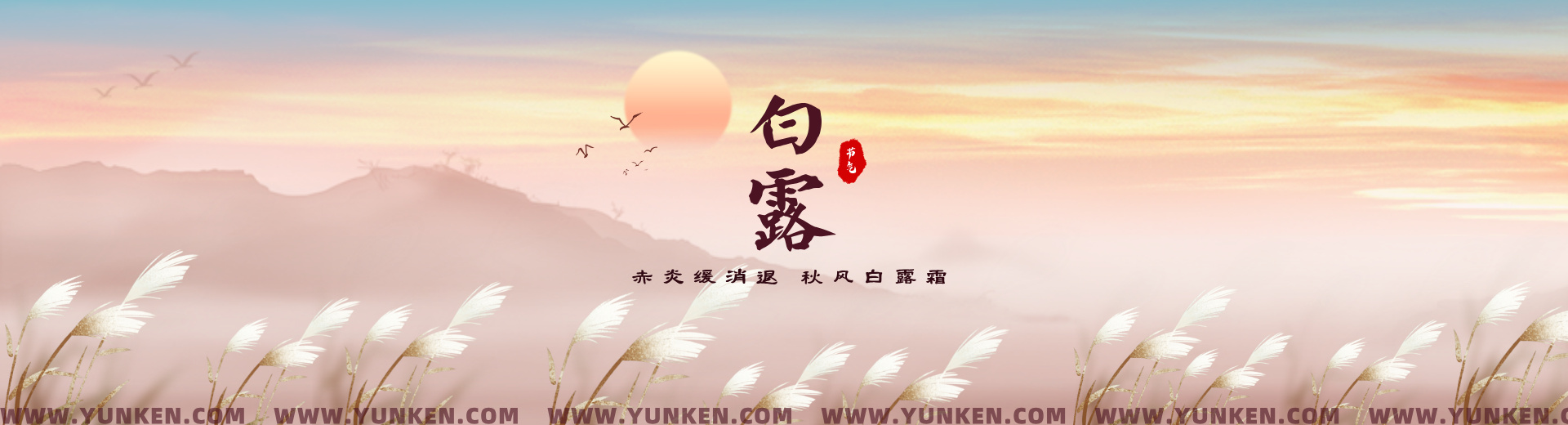 二〇二五〇九〇七白露banner