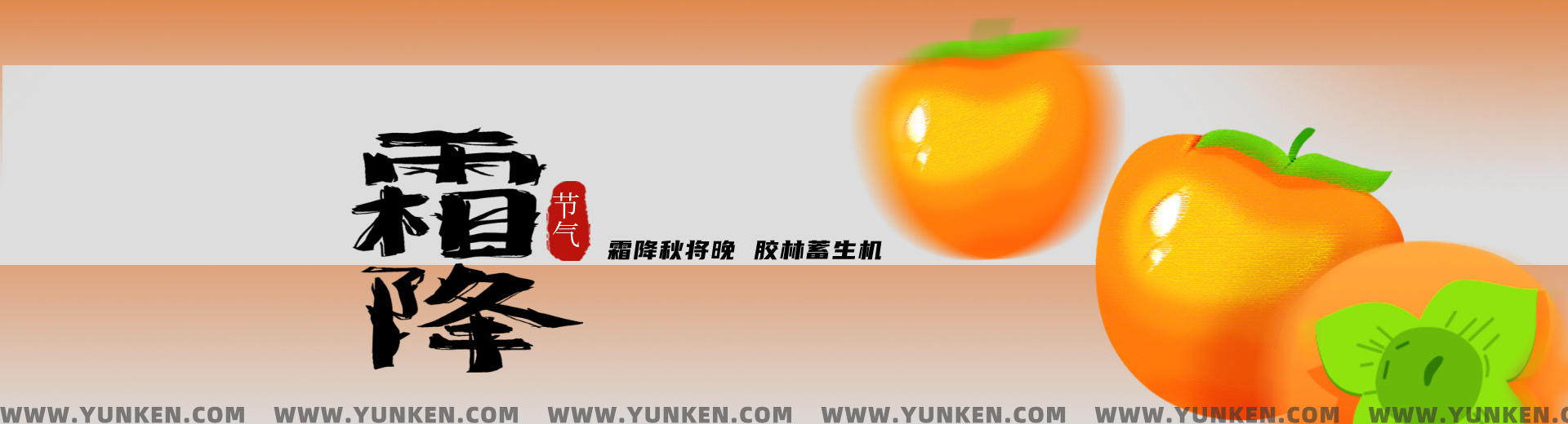 二〇二六一〇二三霜降banner