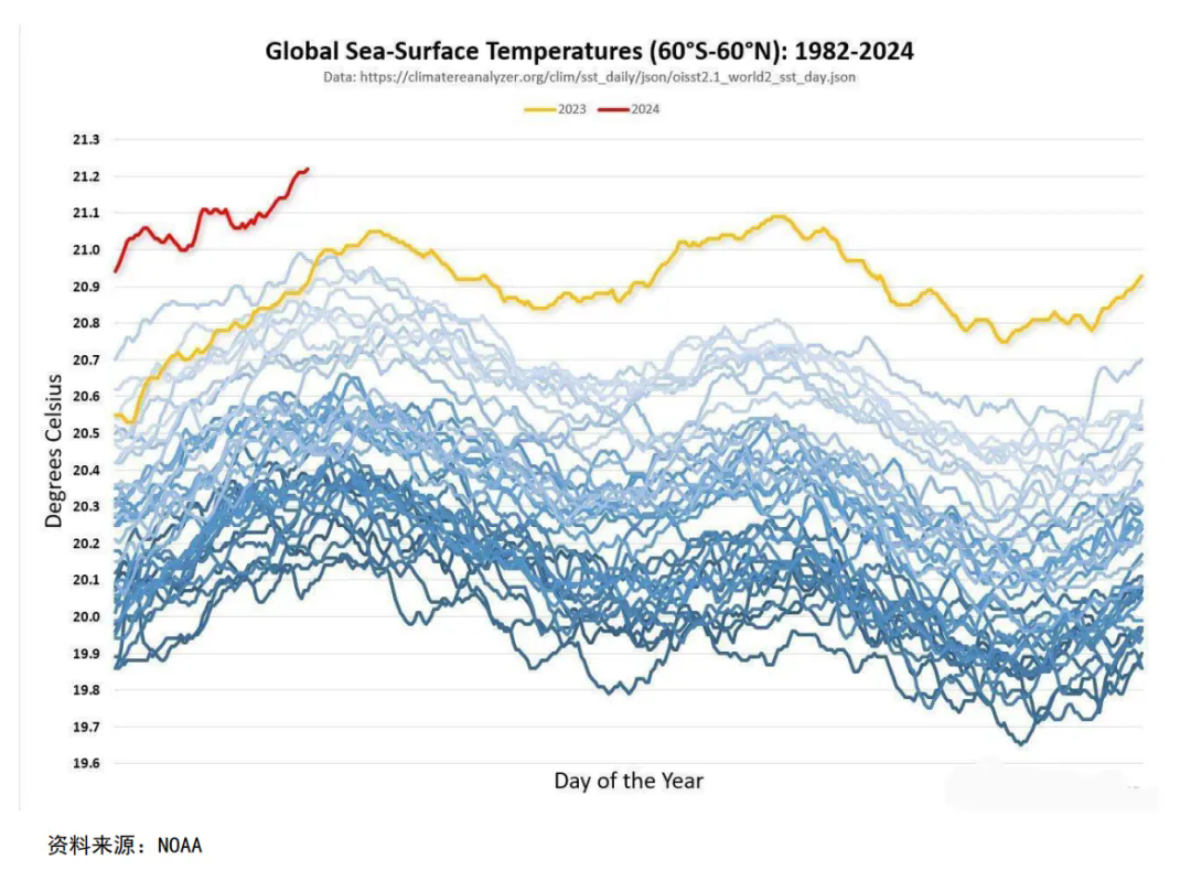 橡胶2024年下半年行情推演