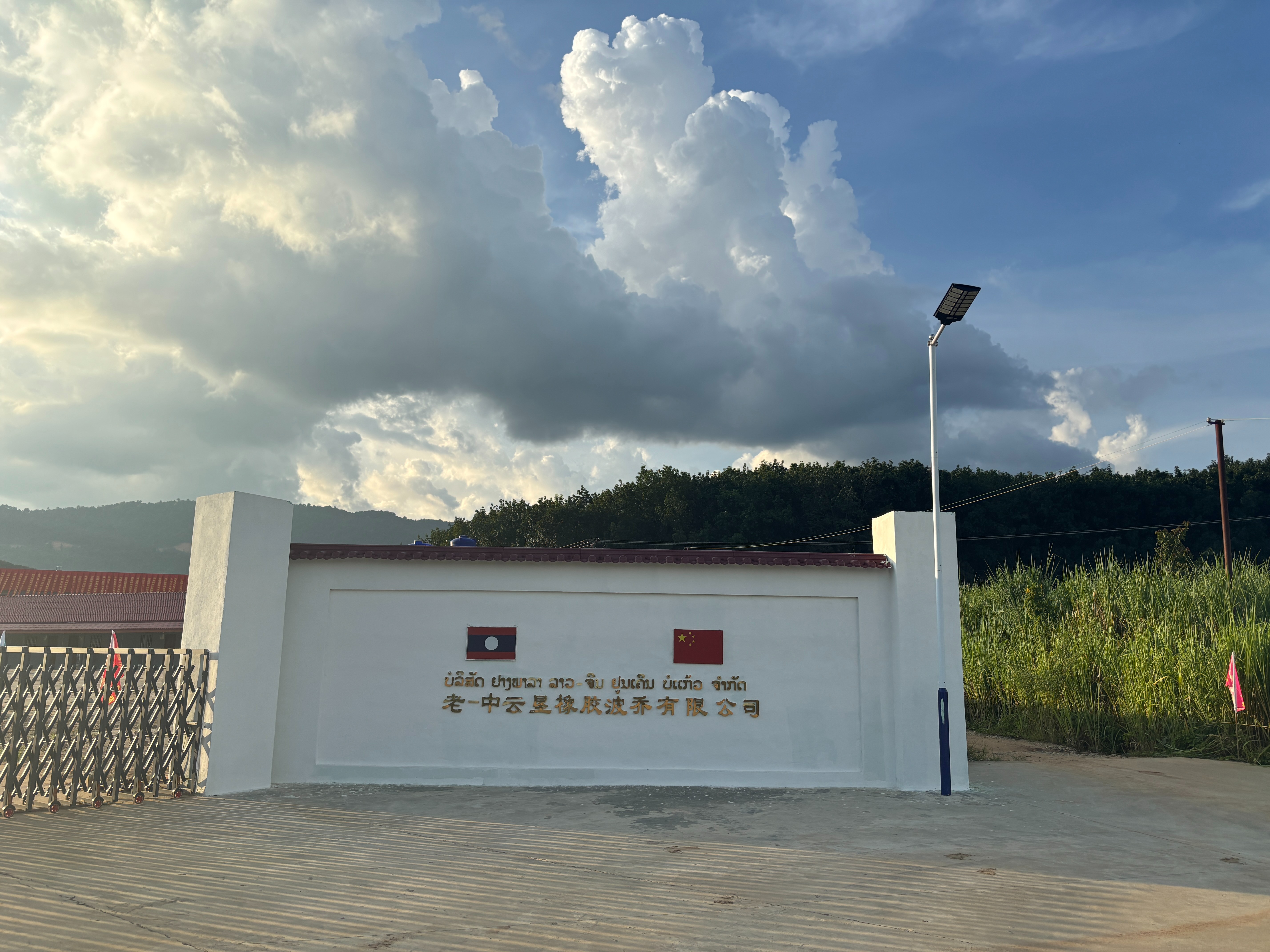 老-中云垦橡胶波乔有限公司工厂盛大开业，扎根波乔热土，共绘橡胶产业新图景