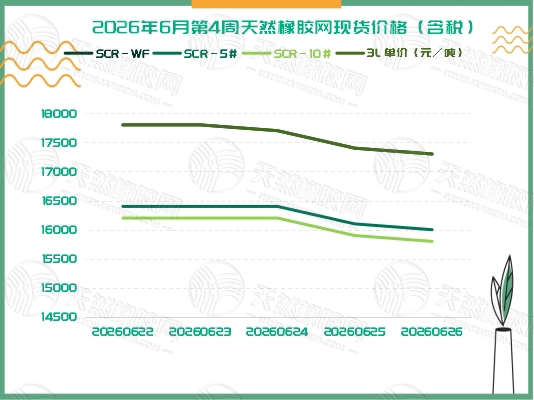 橡胶现货：全线回调「20260622-20260626」